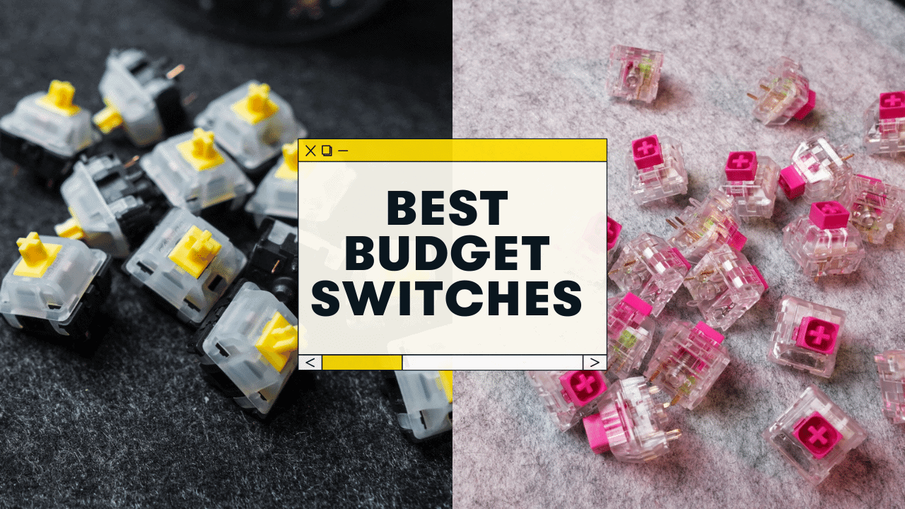 The 5 Best Budget Keyboard Switches (Cheap But Awesome)