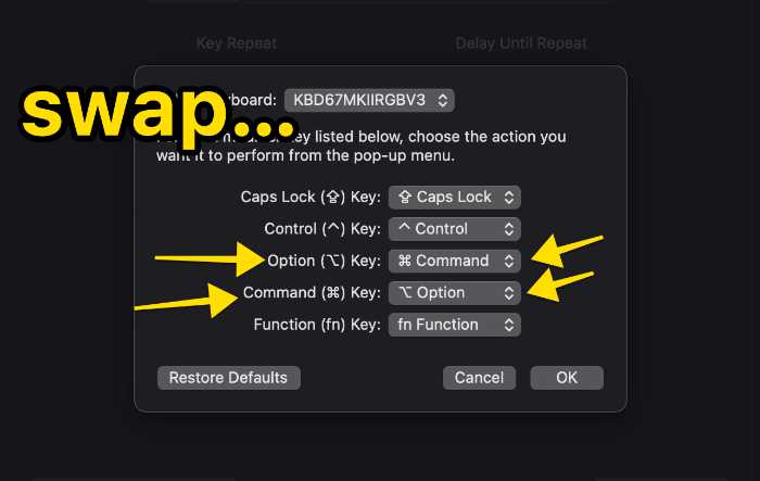 mac swap modifier keys