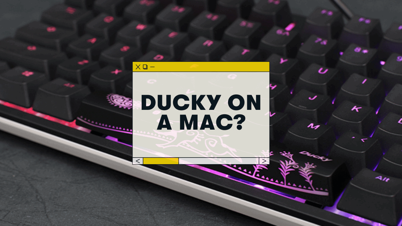Does Ducky work with Mac? (Quick Setup Guide)