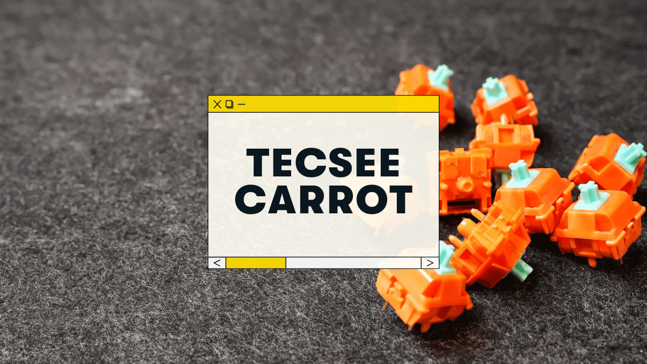 Tecsee Carrot Review & Sound Test (2023)